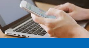 ���o�C���t���b�V���\�z����